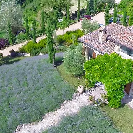 Casale Delle Lavande 10, Emma Villa *