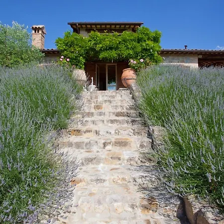 Villa Casale Delle Lavande 10, Emma Todi