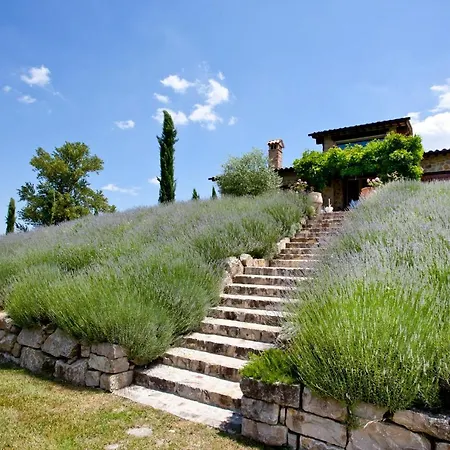 Villa Casale Delle Lavande 10, Emma Todi